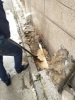 东莞安装阀门管道公司检测消防水管漏水维修
