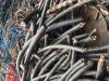 沈阳钨钢回收沈阳紫铜电缆回收2022已更新