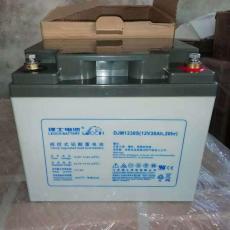 理士蓄電池DJW12-38免維護(hù)理士電池12V38AH