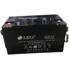 长海斯达蓄电池6FM-38 12V38AH应急电源电池
