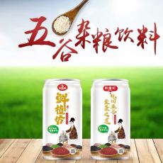 厂家加工生产oem贴牌椰子汁芒果汁百香果汁