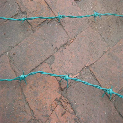 北京小区墙头防盗网5公斤镀锌刺绳生产厂家