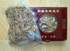 禪城回收冬蟲夏草-西藏蟲草回收什么價格