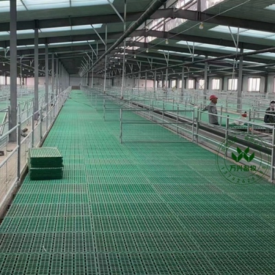 塑料羊粪板塑料垫板养殖羊标准化羊场羊粪板