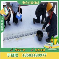 重庆2公分高分子防护排水异形片生产