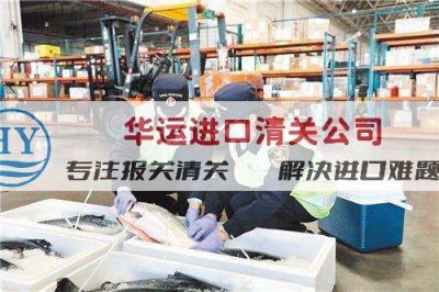 荷兰冻蟹进口清关公司清关难点解决