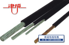 西安耐火型氟塑料電纜有限公司