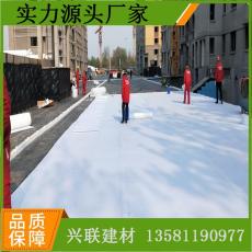 廣東省20高耐根穿刺塑料排水板制造廠家