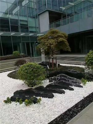 庭院绿化景观设计草坪铺地石黑白搭配砾石