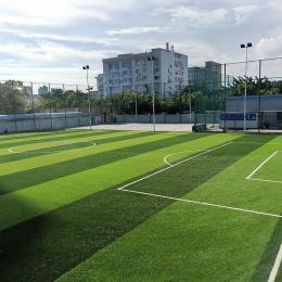 河北邢台运动型人工草坪铺设足球场
