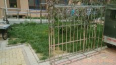 北京通州北苑安装防盗窗防护栏定做防护栏