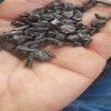 东莞增强PA回收防火PA收购加纤尼龙塑料回收