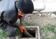 太原北中环专业清理化粪池抽粪疏通管道清淤