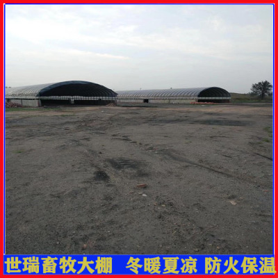 养牛大棚施工建设 牛舍大棚搭建 肉牛大棚