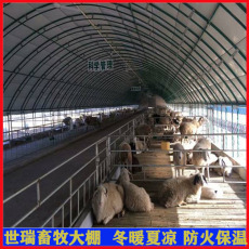 建设养羊大棚价格 山羊养殖大棚搭建 养羊棚