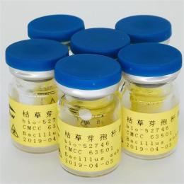 JCM 12132 光明神農球菌