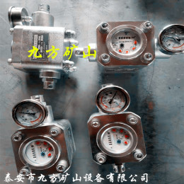 重庆市ZGS-6煤层高压注水表