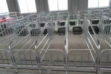 支持定制定位栏 整体热镀锌管材 养猪场限位
