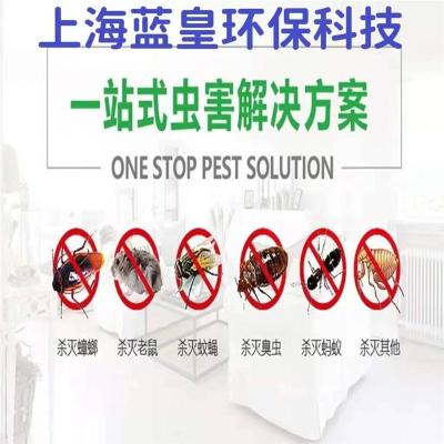 上海消杀灭害虫蟑螂有害生物防治消毒灭鼠