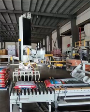 自动化包装码垛生产线 吨包袋 山东本森