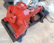 300R-56IB R型热水泵价格