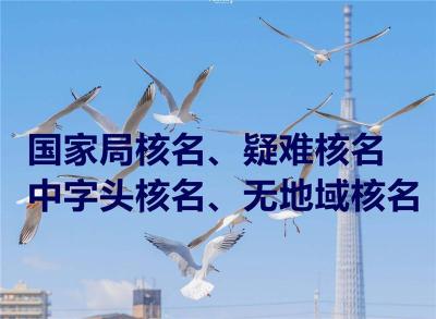 黑龙江无行业特点国家总局核名有什么限制