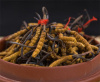 三水虫草回收价格介绍-回收西藏那曲虫草