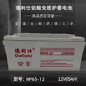 德利仕蓄电池NP150-12.12V150AH质保三年