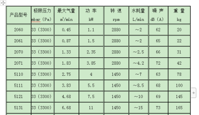 2bv5131水环真空泵