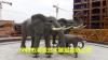 公园广场景观仿真泰国象大象雕塑零售厂家