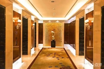 新乐电梯-北京西子西奥电梯销售 乘客电梯供