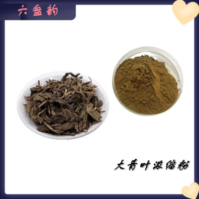 大青叶浓缩粉 粉质细腻 流动性好 精选原料