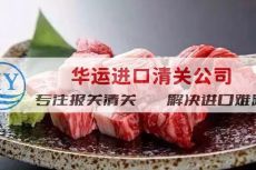 智利凍豬后腿進(jìn)口報關(guān)公司合作推薦