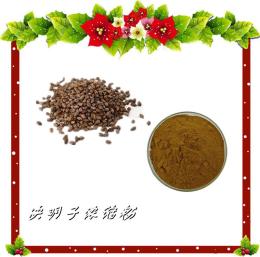 决明子浓缩粉 粉末状 库存充足 六盘韵生物