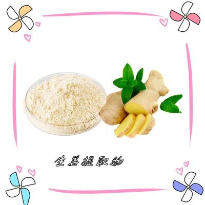 生姜提取物 水溶性粉末含姜辣素 六盘韵供应