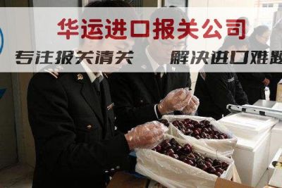 新鲜牛油果清关代理公司全程进口代理