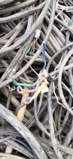 佛山樂從鎮當地MKVVR礦用控制電纜線回收價格多少