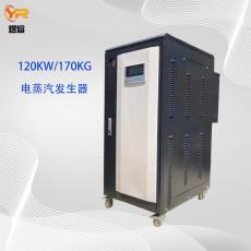 上海煜熔120KW电蒸汽发生器 厂家直供电锅炉