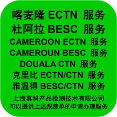 几天办下来喀麦隆BESC电子跟踪单
