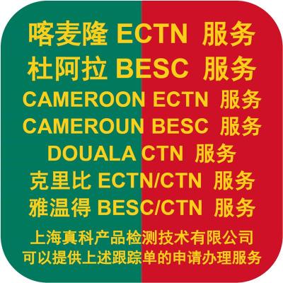 谁来做喀麦隆CTN货物跟踪号