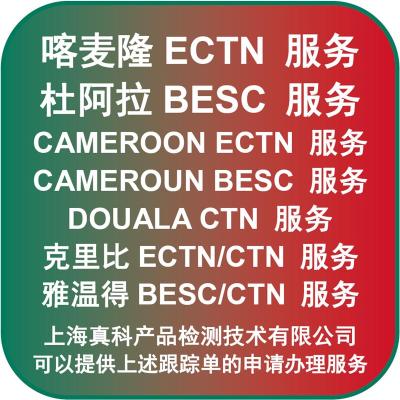 是谁来办的非洲BESC电子跟踪号