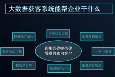 天津网站开发运营商大数据获客系统营销平台方案