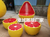 广西钦州沙田柚玻璃钢柚子休闲椅雕塑厂家