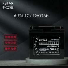 科士达6-FM-17/12V17AH阀控式铅酸蓄电池