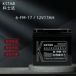 科士达6-FM-17/12V17AH阀控式铅酸蓄电池