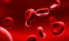 牙齿干细胞再生牙齿临床招募