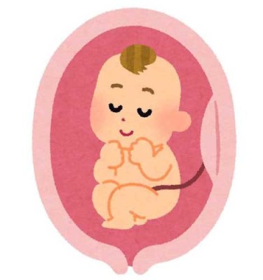 多功能造血干细胞