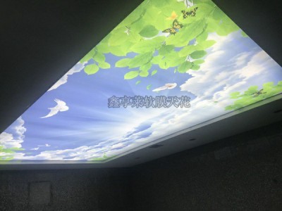 甘肃兰州软膜天花厂家安装-洗浴吊顶材料