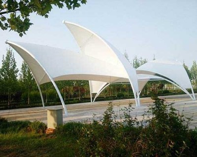 新疆车棚PTFE膜结构图片