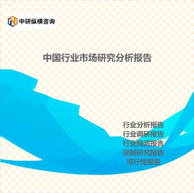 浆料泵发展走势投资市场分析报告2023-2028